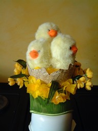IMG_0011.jpg